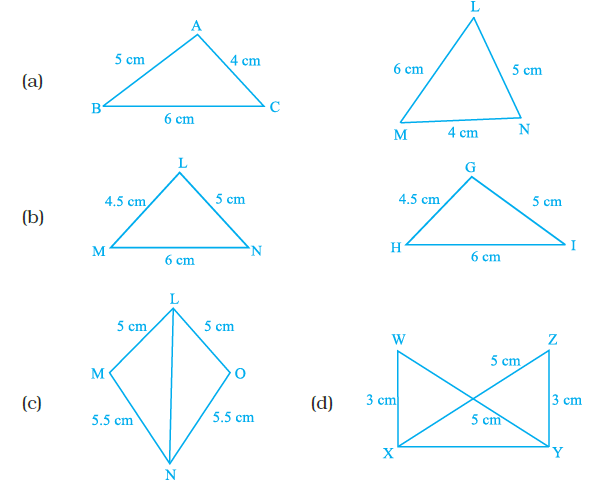 Page 179 Chapter 6 Class 7th NCERT Exemplar
